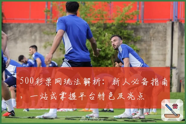 500彩票网玩法解析：新人必备指南，一站式掌握平台特色及亮点