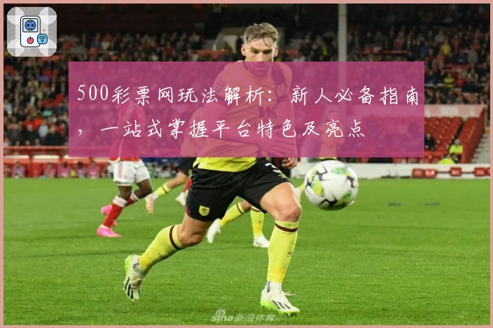 500彩票网玩法解析：新人必备指南，一站式掌握平台特色及亮点