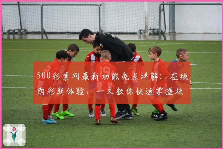 500彩票网最新功能亮点详解：在线购彩新体验，一文教你快速掌握核心玩法技巧