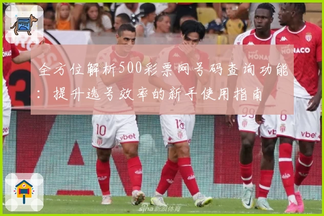 全方位解析500彩票网号码查询功能：提升选号效率的新手使用指南