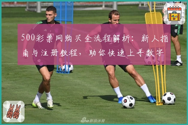 500彩票网购买全流程解析：新人指南与注册教程，助你快速上手数字化购票体验