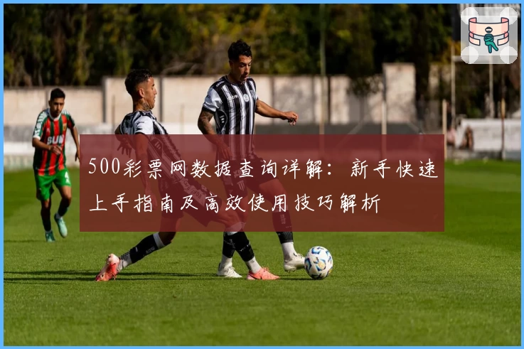 500彩票网数据查询详解：新手快速上手指南及高效使用技巧解析