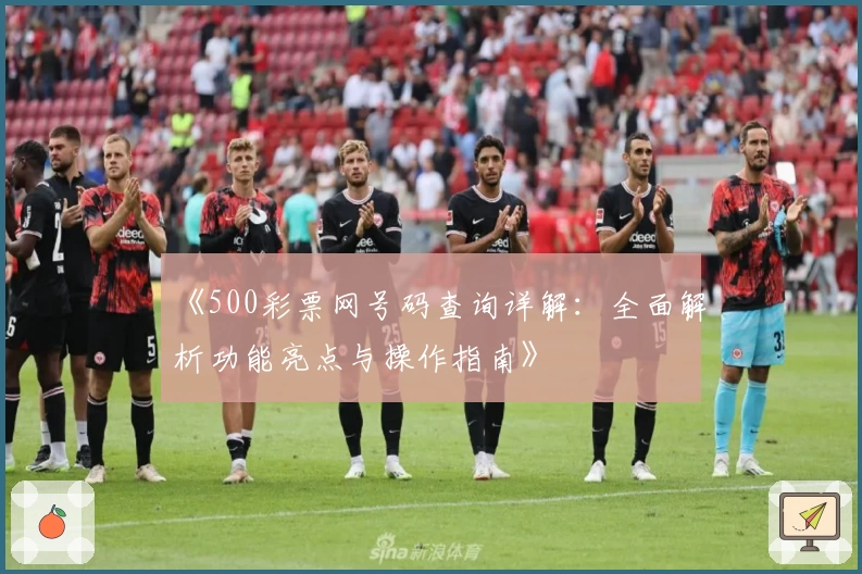 《500彩票网号码查询详解：全面解析功能亮点与操作指南》