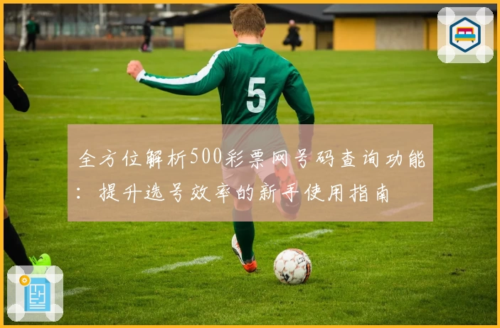 全方位解析500彩票网号码查询功能：提升选号效率的新手使用指南